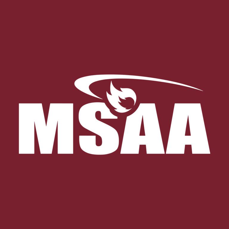 MSAA Summer Institute 2026
