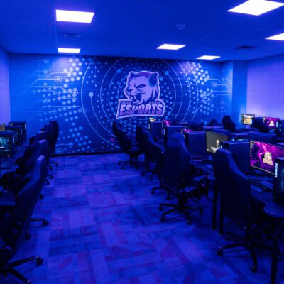 Develop by Design – Foundations of Esports Learning Environments